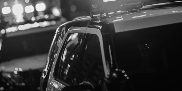 Delitos Contra Personas / Seguridad Vial / Tráfico Alpera · Violencia de Género y Doméstica