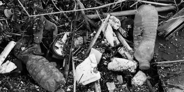 Delitos Societarios en Albacete · Delitos Contra los Recursos Naturales / Medioambiente