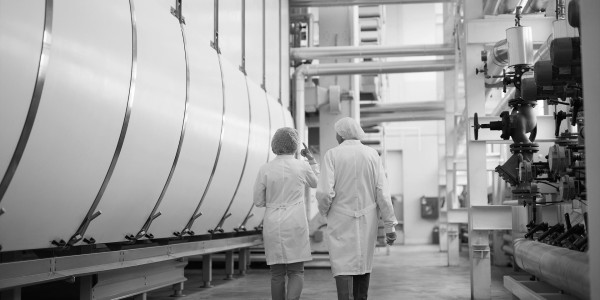 Delitos Societarios en Albacete · Delitos Riesgos Laborales / Prevención de Riesgos