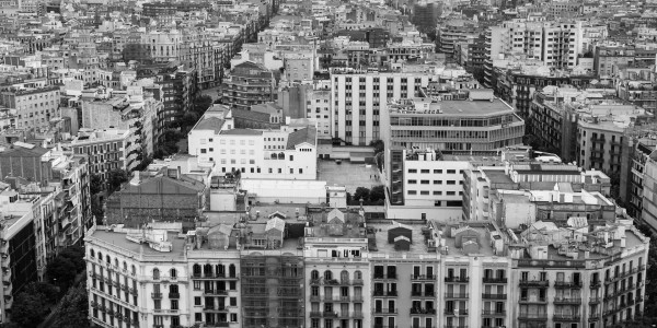 Delitos Contra la Propiedad / Urbanísticos Montealegre del Castillo · Parcelación en Suelo No Edificable
